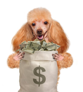 Make Money With Your Dog