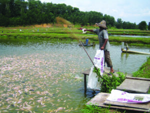 Fishing pond grants